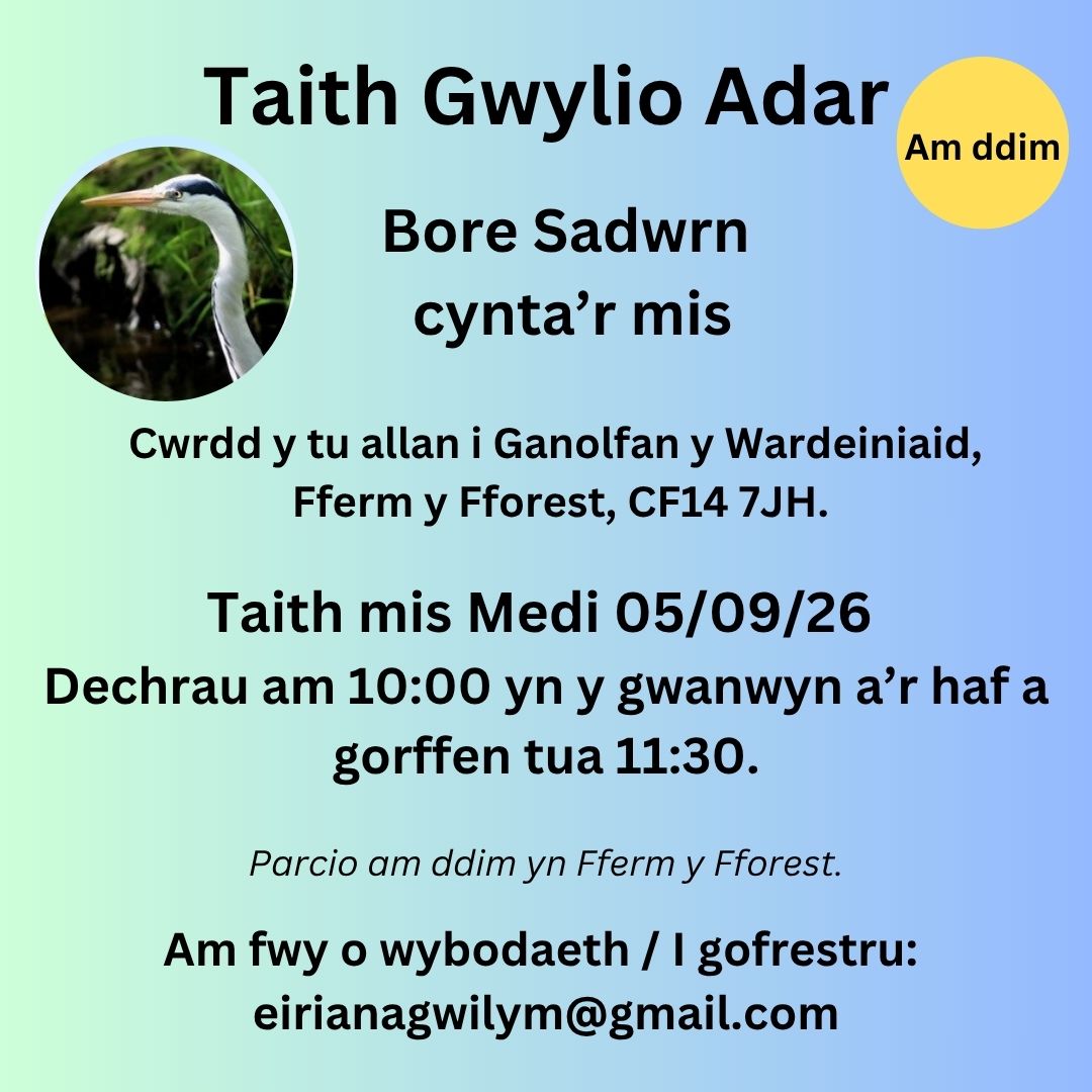 Taith Gwylio Adar